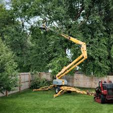  Brownstown, IN Tree Removal Pros